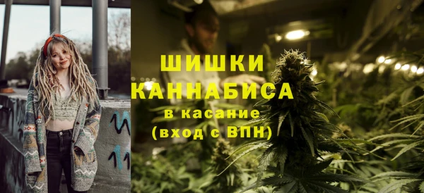 молекула духа Медногорск