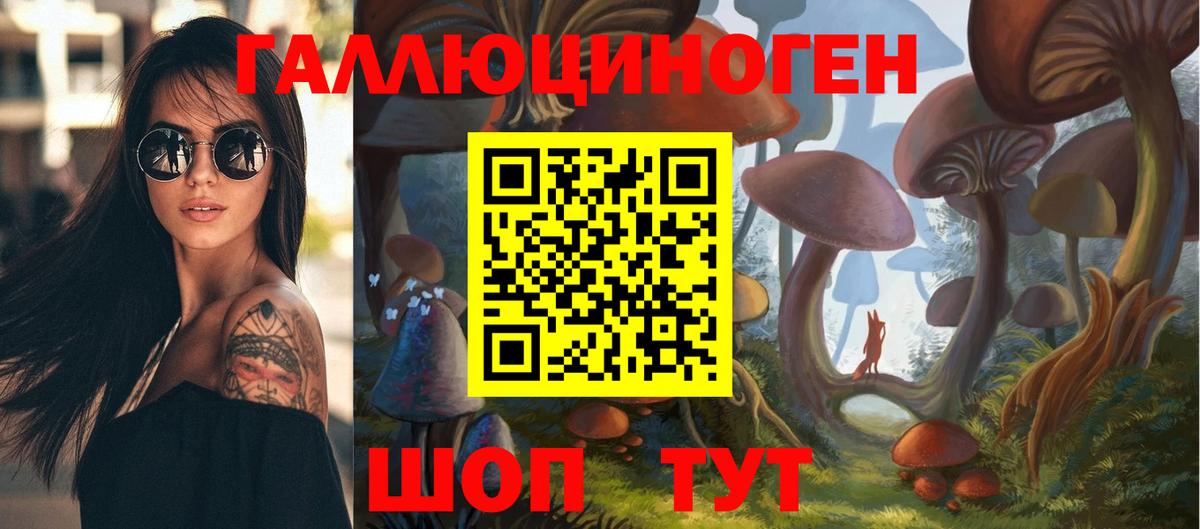 Псилоцибиновые грибы прущие грибы Асино
