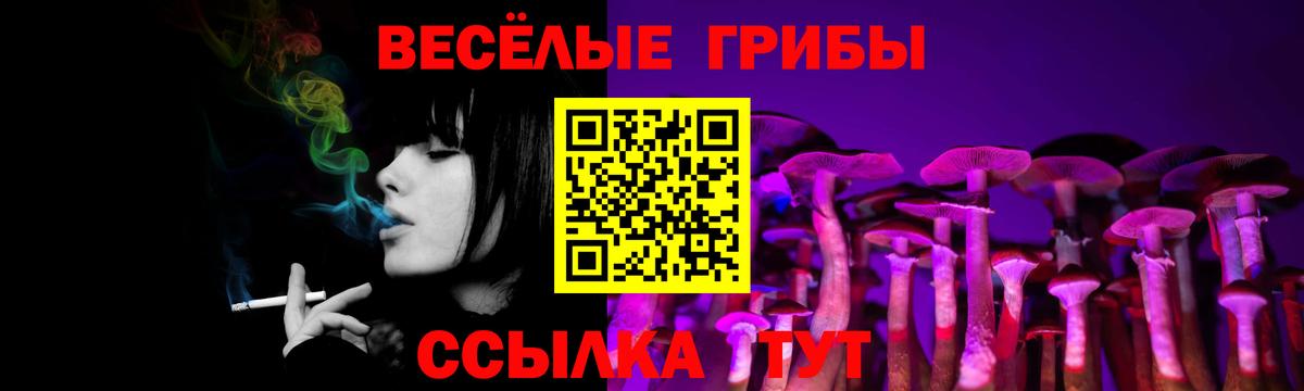 Асино  Галлюциногенные грибы Psilocybine cubensis  Вход с VPN 